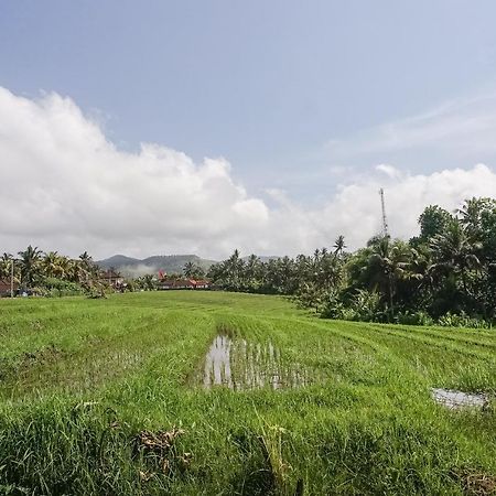 Mejan Home Stay Balian 외부 사진